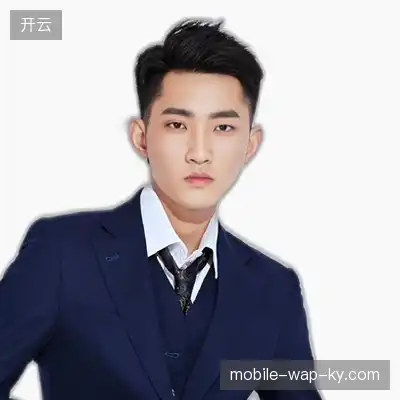潘子辉